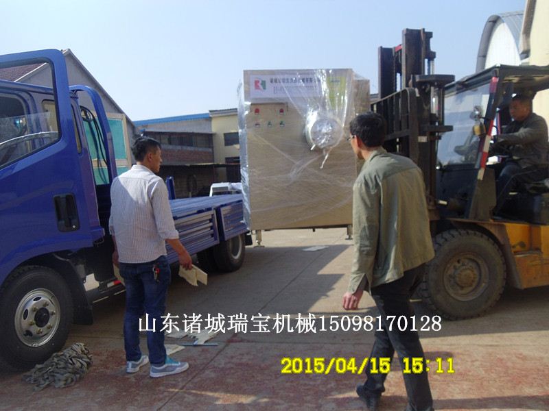 山東濰坊諸城瑞寶供應(yīng)JR系列絞肉機(jī)，專業(yè)團(tuán)隊(duì)，*，