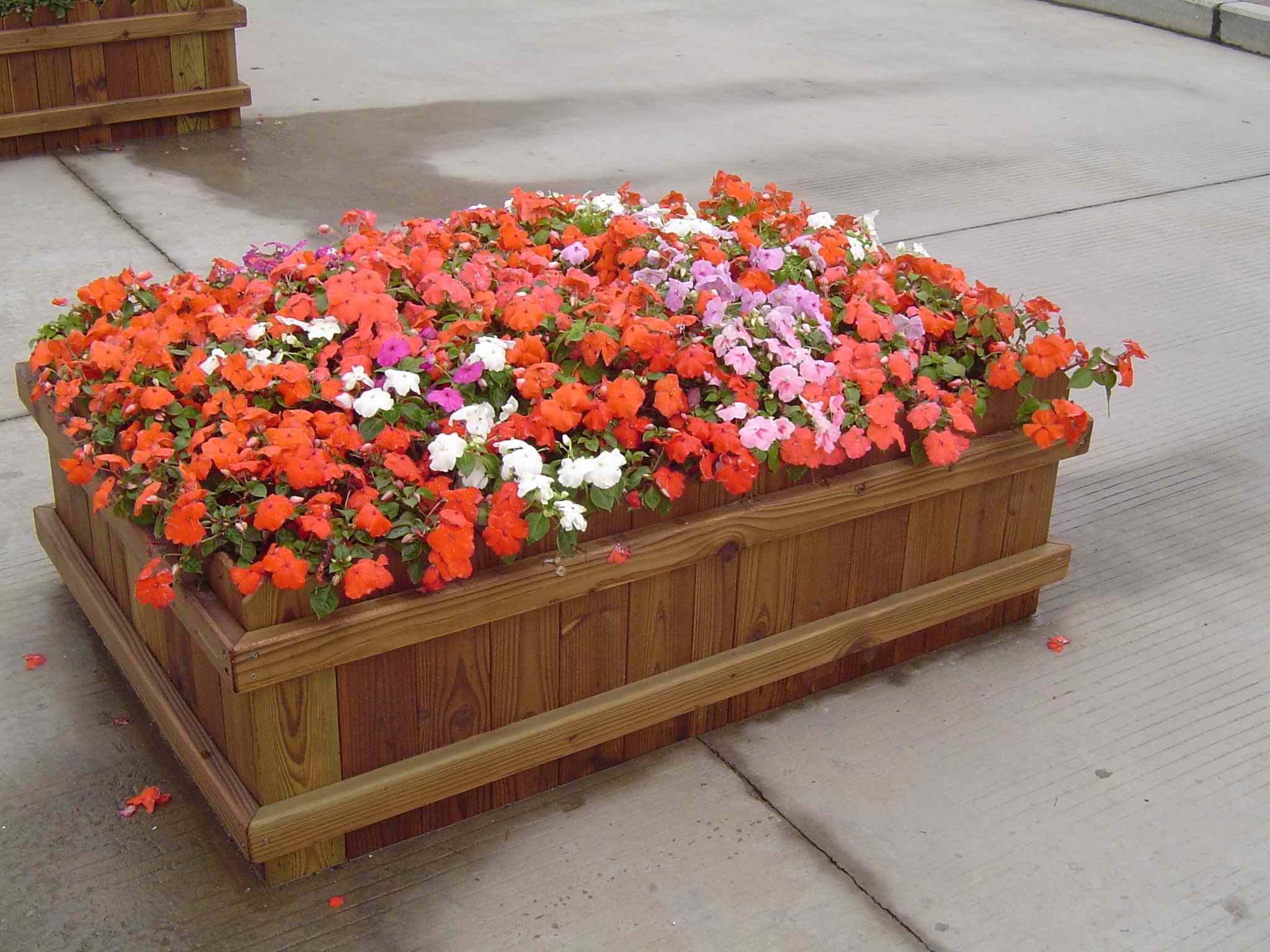 供應(yīng)浙江組合花箱