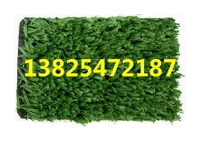 塑膠草球場施工