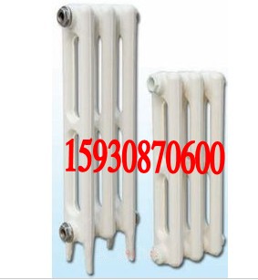 供應(yīng)用于采暖的桶/橢柱翼745型鑄鐵散熱器暖氣片