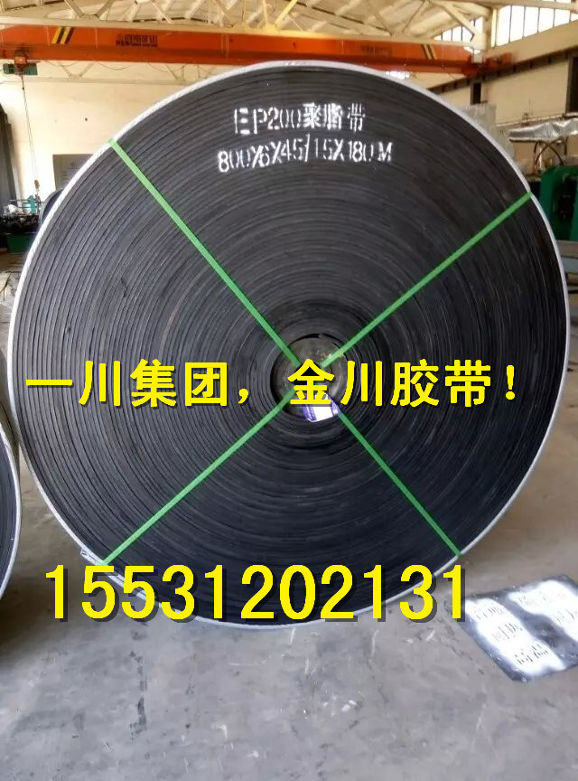 供應用于輸?shù)暮颖变摻z繩輸送帶，ST1600