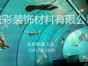供應(yīng)嘉興軟膜天花，燈膜，透光膜，空間膜，鏡面膜