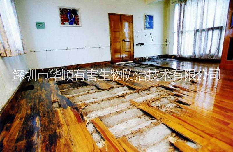 供應(yīng)用于深圳龍崗殺蟲公司滅殺防治白蟻的深圳防治滅殺白蟻方案策略一次滅殺用不復(fù)發(fā)