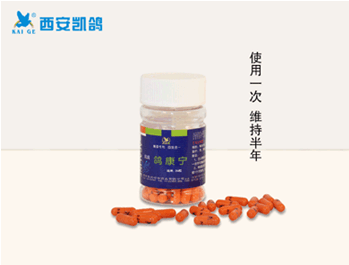供應凱鴿鴿藥【鴿康寧】500g/瓶