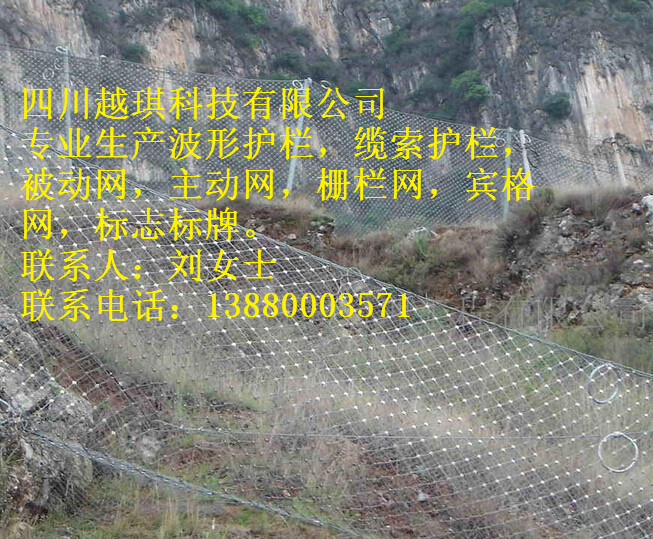 供應(yīng)浙江RXI075被動(dòng)網(wǎng)成都訂制生產(chǎn)直銷