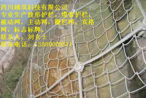 供應(yīng)四川貴州云南西藏主動(dòng)網(wǎng)價(jià)格