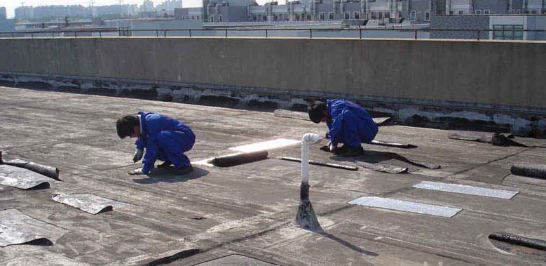 供應(yīng)羅湖防水補(bǔ)漏公司羅湖外墻清洗