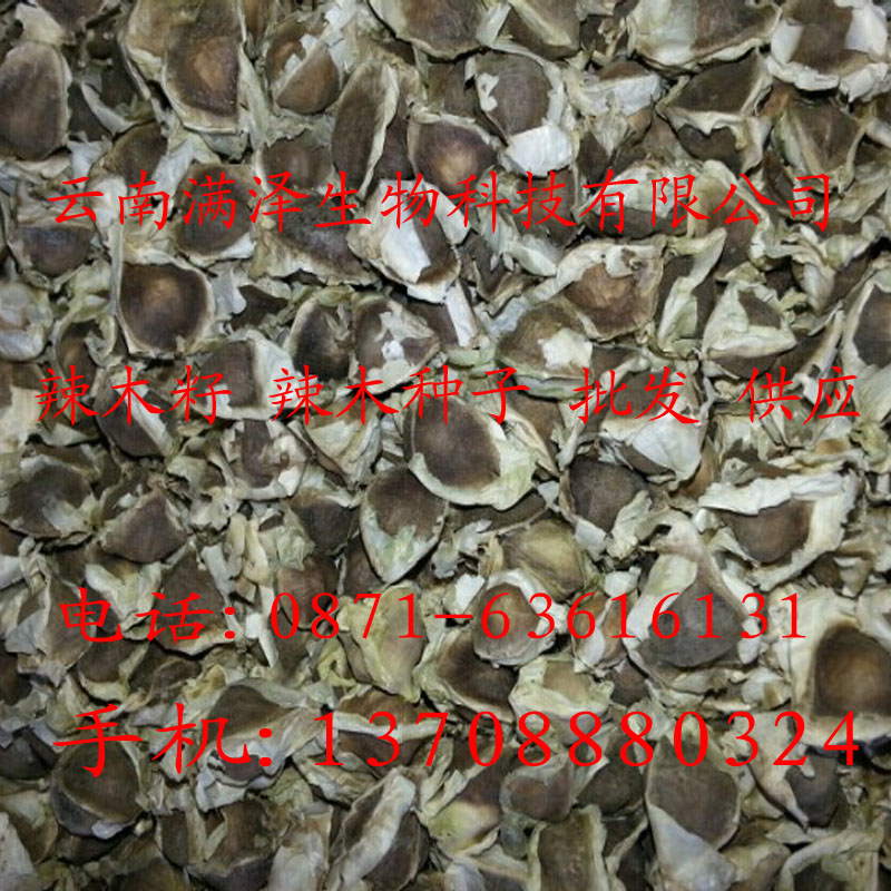 辣木籽的價(jià)格%辣木籽的市場(chǎng)價(jià)%辣木籽的價(jià)格與功效