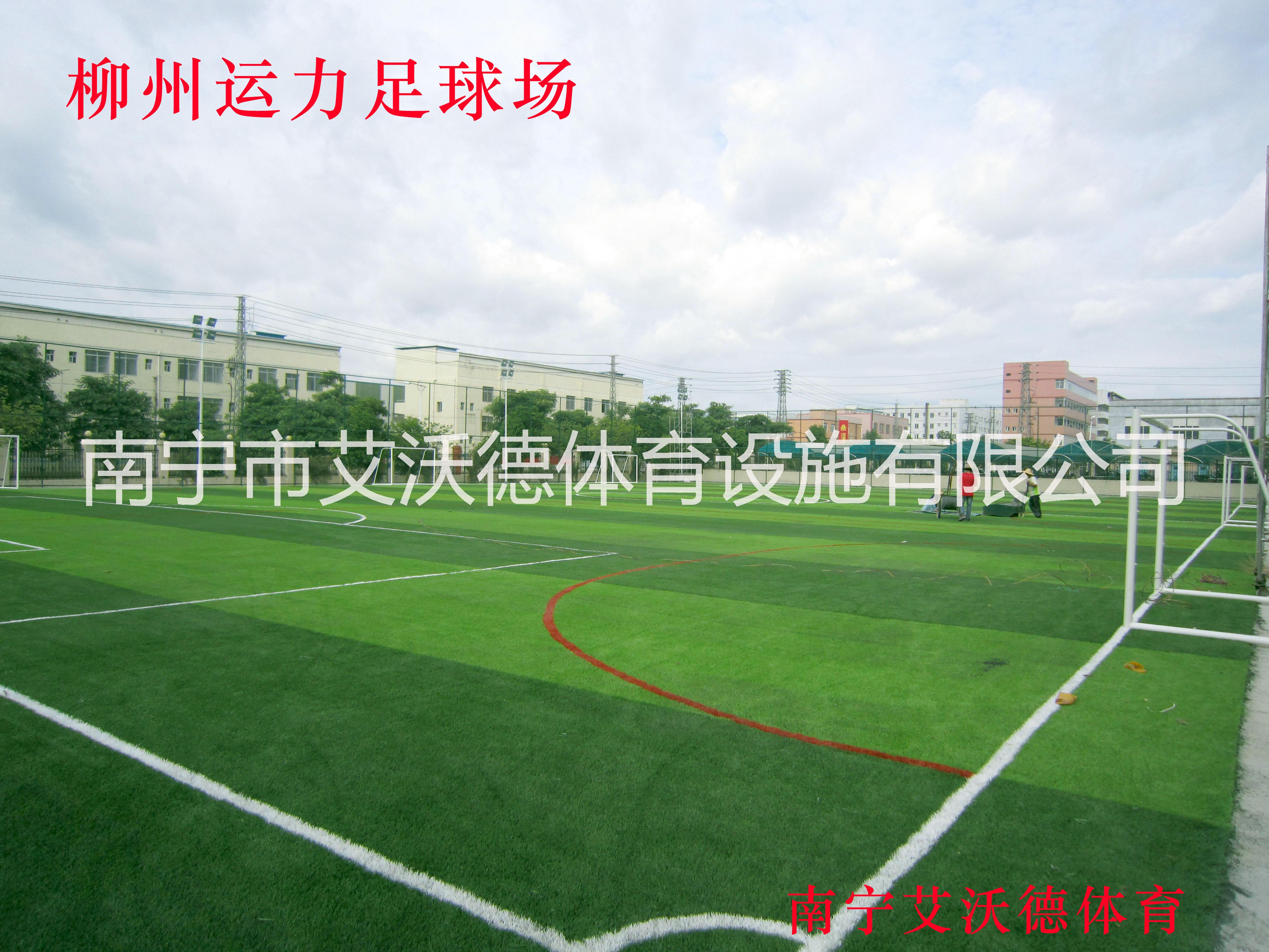 供應(yīng)扶綏人造草坪球場建設(shè)