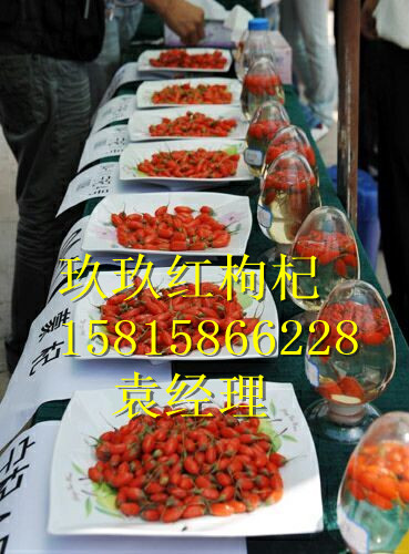 供應(yīng)用于養(yǎng)生膳食的呼和浩特枸杞，呼和浩特枸杞價(jià)格