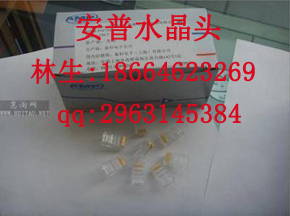 供應(yīng)安普超五類水晶頭批發(fā)商/安普超五類水晶頭批發(fā)廠家/安普超五類水晶頭批發(fā)價格