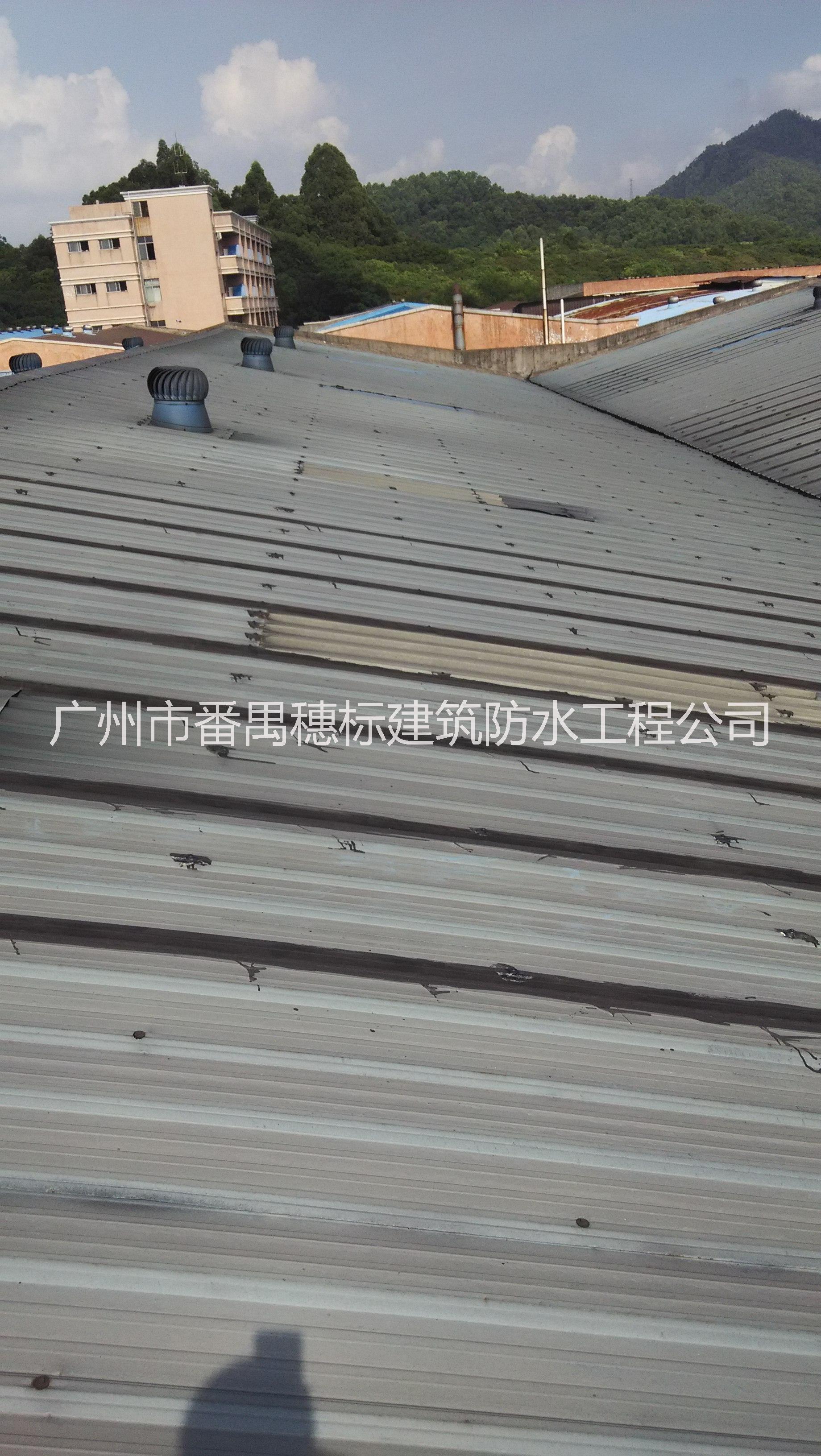 供應(yīng)番禺沙頭各種樓房滲漏衛(wèi)生間滲漏廚房滲漏水池滲漏