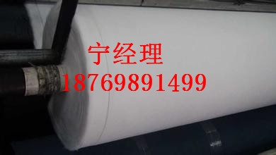 土工布生產(chǎn)廠家|價(jià)格