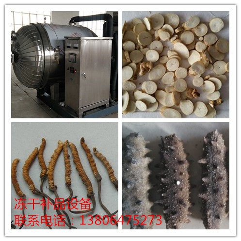 供應方便飯凍干設備真空凍干機 凍干機 諸城華大真空冷凍干燥機價格