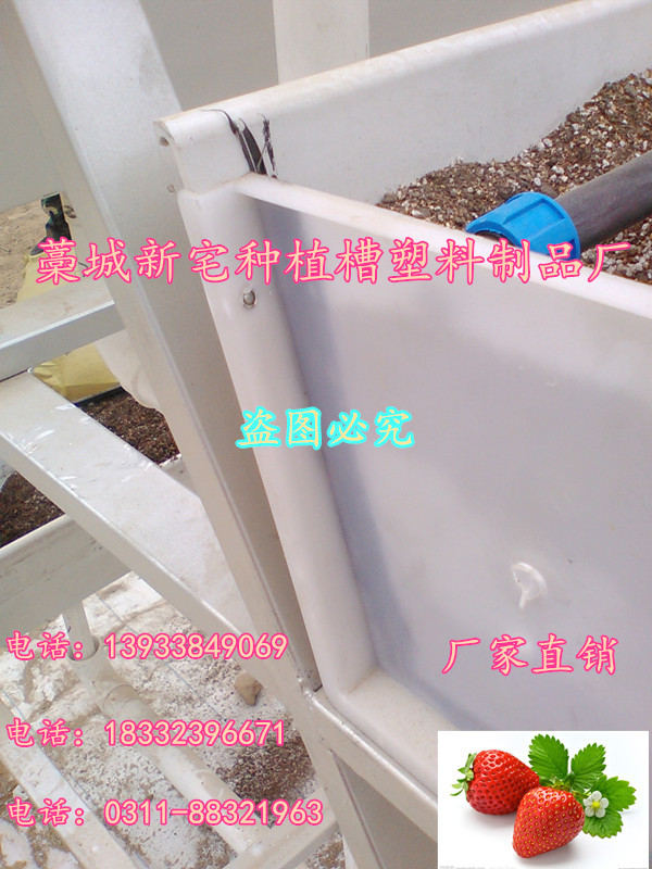 供應(yīng)草莓種植槽無土栽培槽