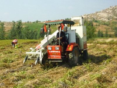 供應(yīng)花生聯(lián)合*率收獲機采購