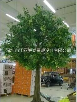供應(yīng)仿真榕樹    仿真植物廠家直銷