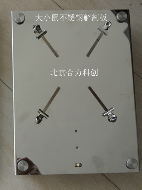 大小鼠解剖板  鼠解剖臺 廠家直