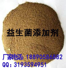 廠家直銷批發(fā)代理畜牧*枯草芽孢桿菌菌粉，歐盟標準生產(chǎn)，高純度