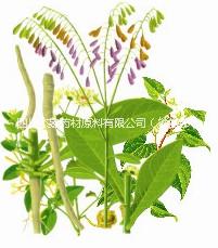 供應(yīng)連翹提取物