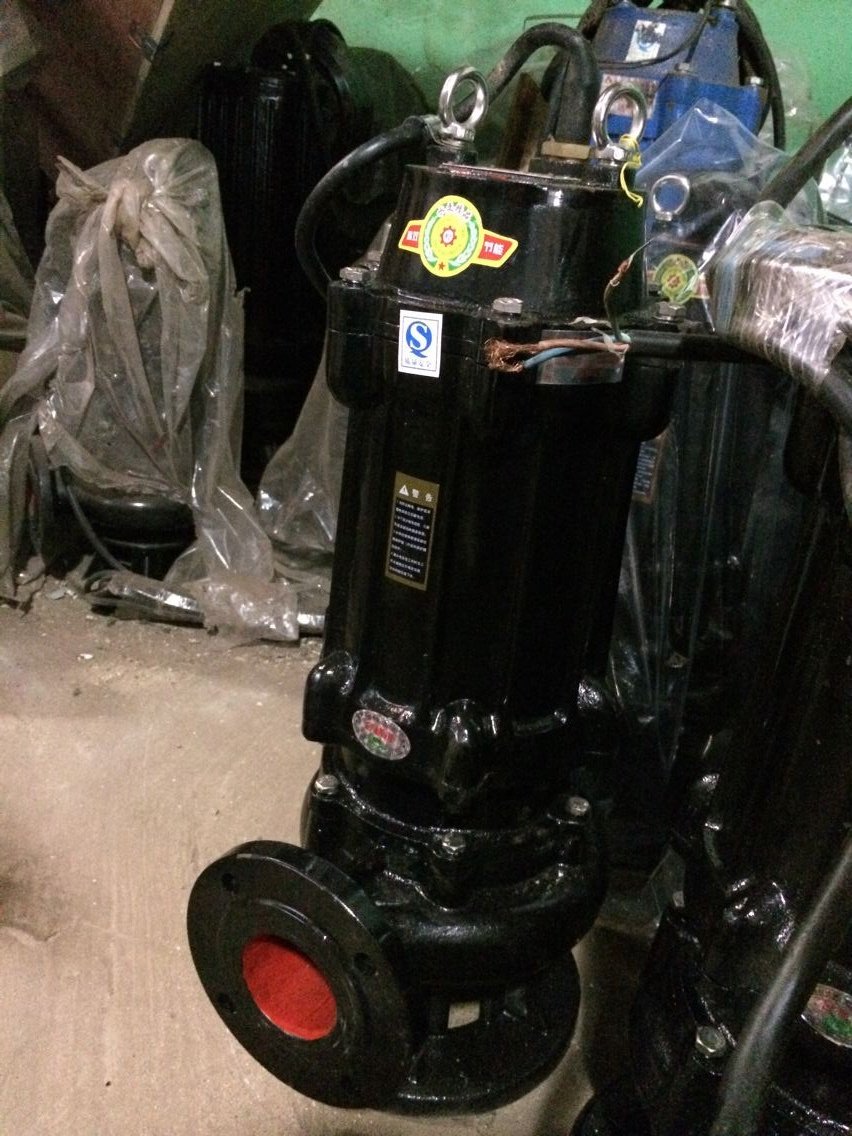 供應(yīng)抽糞泵