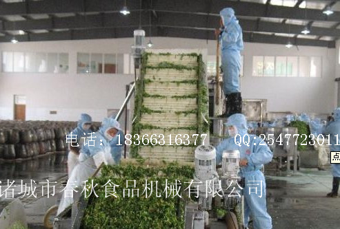 供應(yīng)蔬菜清洗機(jī)價格/廠家