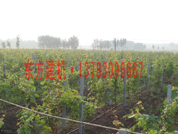 供應葡萄架柱子機，開啟“火爆銷售”模式，歡迎選購
