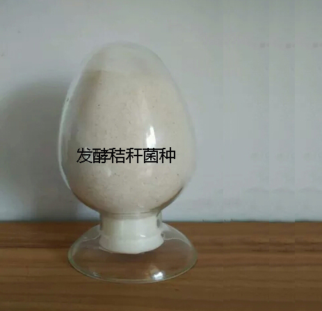 供應(yīng)用于降低飼料成本|提高*力|促進生長的秸稈發(fā)酵菌種，微生物秸稈發(fā)酵劑價格