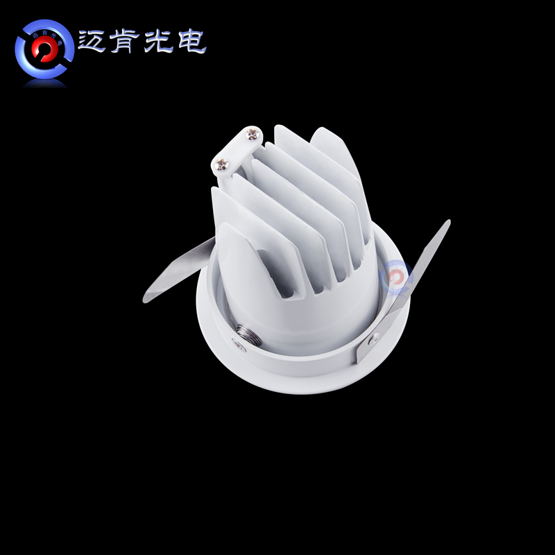 *歐式時尚LED射燈12wL
