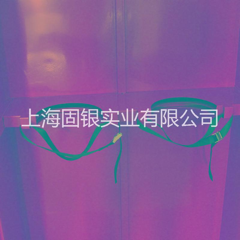 供應(yīng)上海固銀全鋼三瓶氣瓶柜固銀實驗室鋼瓶柜*三瓶氣瓶柜安全柜氣體儲存柜