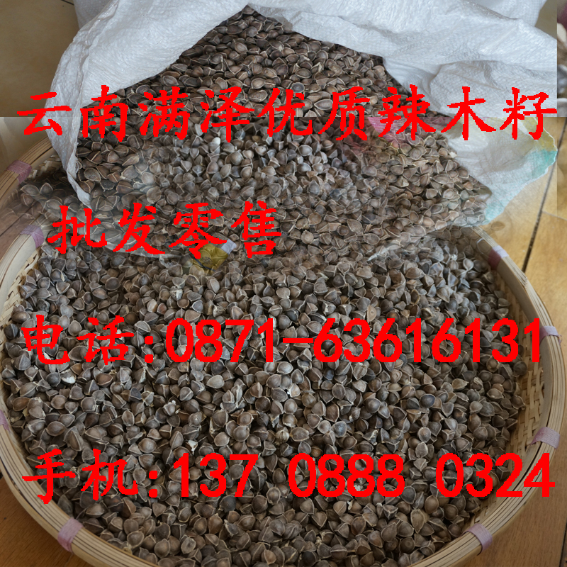 云南*辣木籽食用種植降三高，云南滿澤*非洲辣木籽，*天然辣木籽，辣木籽的功效與作用，昆明辣木籽有什么藥用價(jià)值