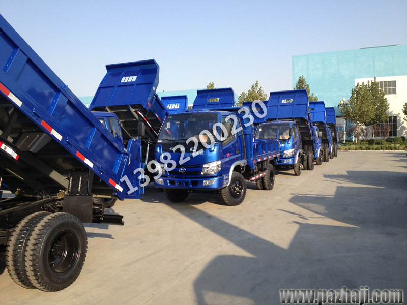 時(shí)風(fēng)風(fēng)順風(fēng)馳農(nóng)用車(chē) 農(nóng)用車(chē)價(jià)格 四川農(nóng)用車(chē)廠家直銷(xiāo)