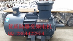供應(yīng)YB3三相異步防爆變頻調(diào)速電動(dòng)機(jī)，防爆變頻電機(jī)供應(yīng)商