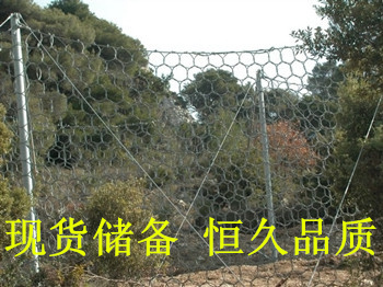 供應(yīng)SNS柔性防護(hù)網(wǎng) 被動(dòng)防護(hù)網(wǎng)