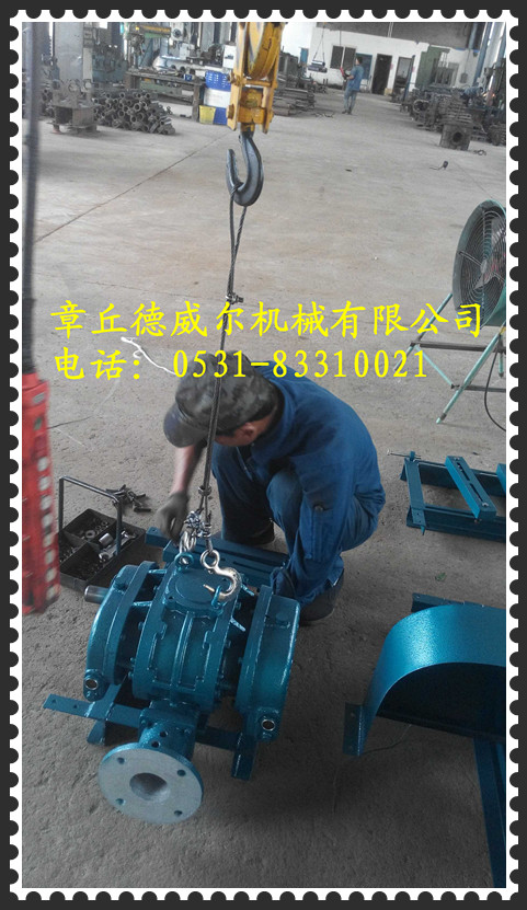 供應(yīng)廈門哪里維修羅茨風(fēng)機(jī)