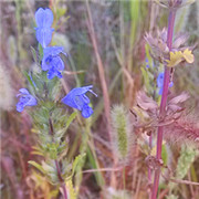 供應(yīng)TWI-JSTTT講師國(guó)際認(rèn)證培訓(xùn)