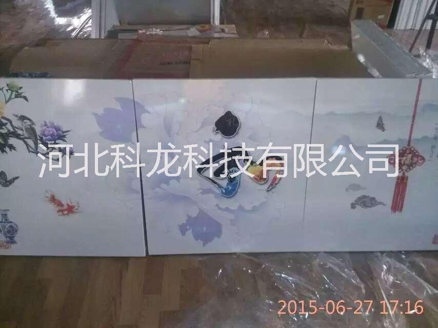 供應(yīng)遠(yuǎn)紅外碳纖維電暖畫價(jià)格/批發(fā)