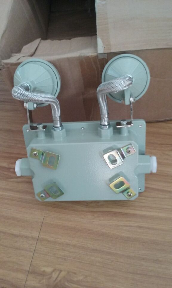 供應(yīng)上海渝榮LED防爆雙頭應(yīng)急燈特價 防爆雙頭應(yīng)急燈尺寸