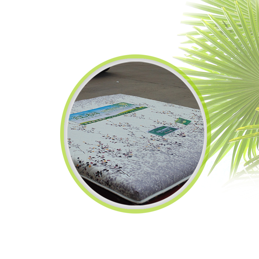 厂家直销 无胶山棕系列床垫片丝8厘米厚 *