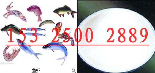 供應(yīng)魚兒搶食吃誘食劑CC-DMT01