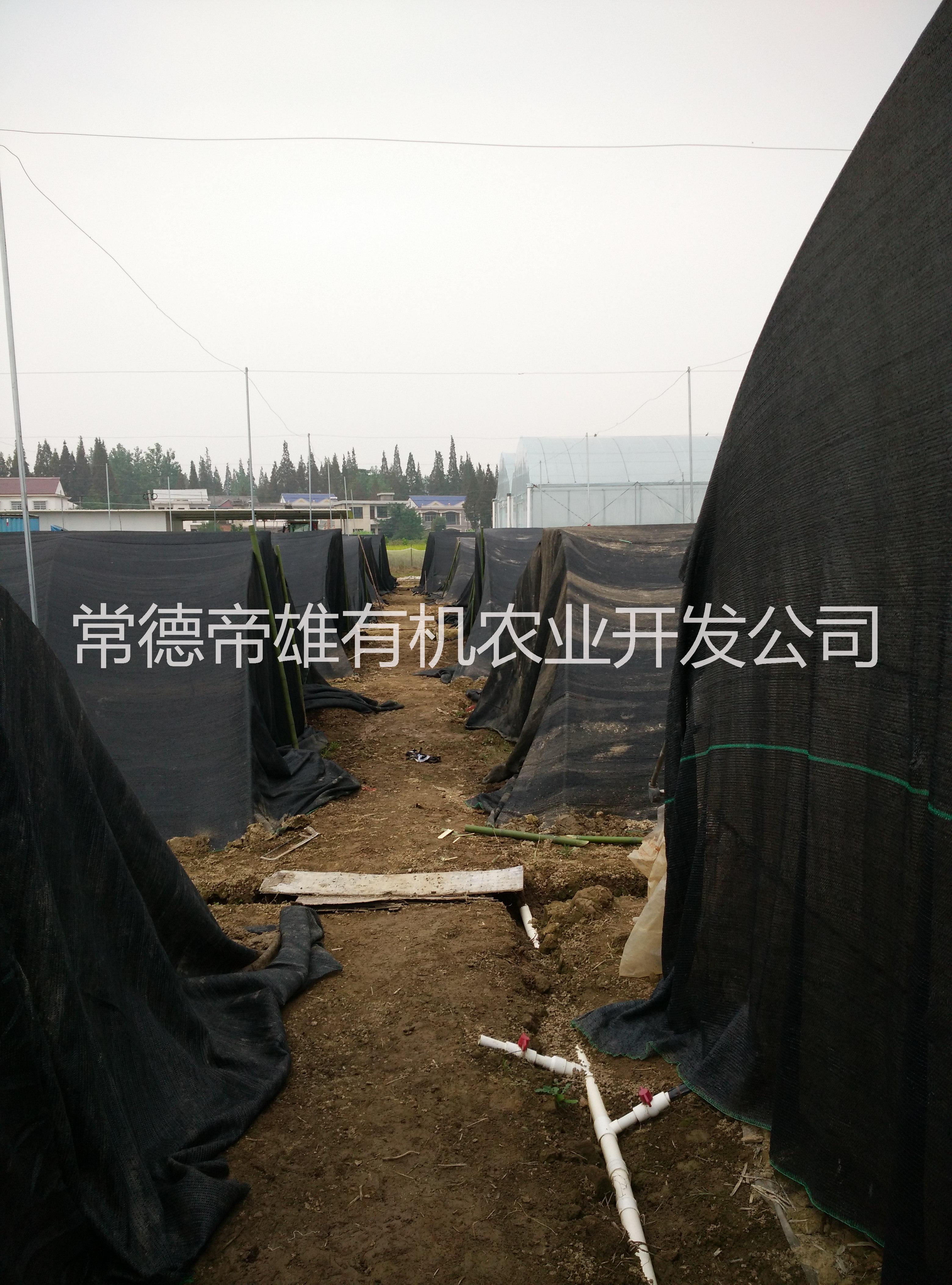 供應(yīng)常德蚯蚓糞 湖南批發(fā)蚯蚓糞 常德蚯蚓批發(fā)零售