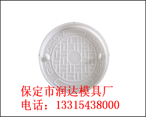供應(yīng)井蓋鋼模具，井蓋塑料模具-潤達
