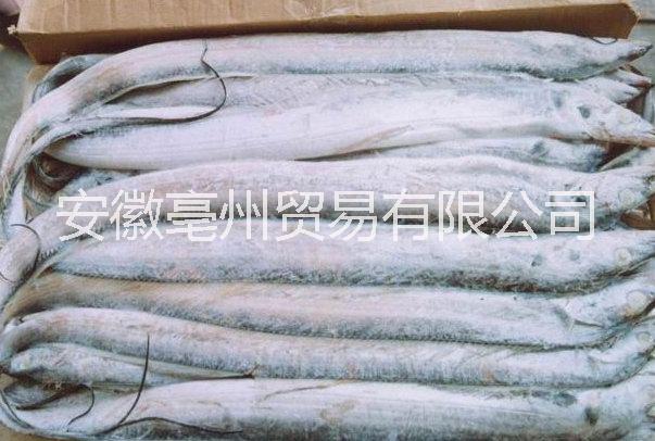 冷凍食品批發(fā) 水產(chǎn)品 糧油批發(fā) 冷凍食品批發(fā)廠家 冷凍帶魚批發(fā) 冷凍魷魚批發(fā) 大米批發(fā) 食用油批發(fā) 食用菌批發(fā) 干制品批