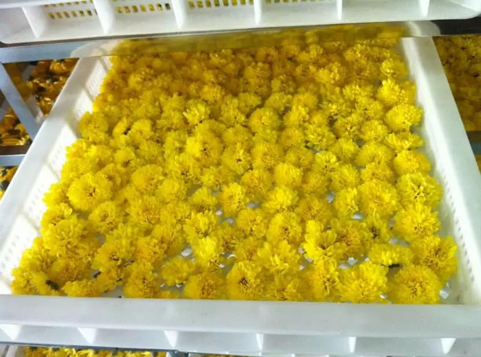 供應(yīng)菊花烘干機(jī)