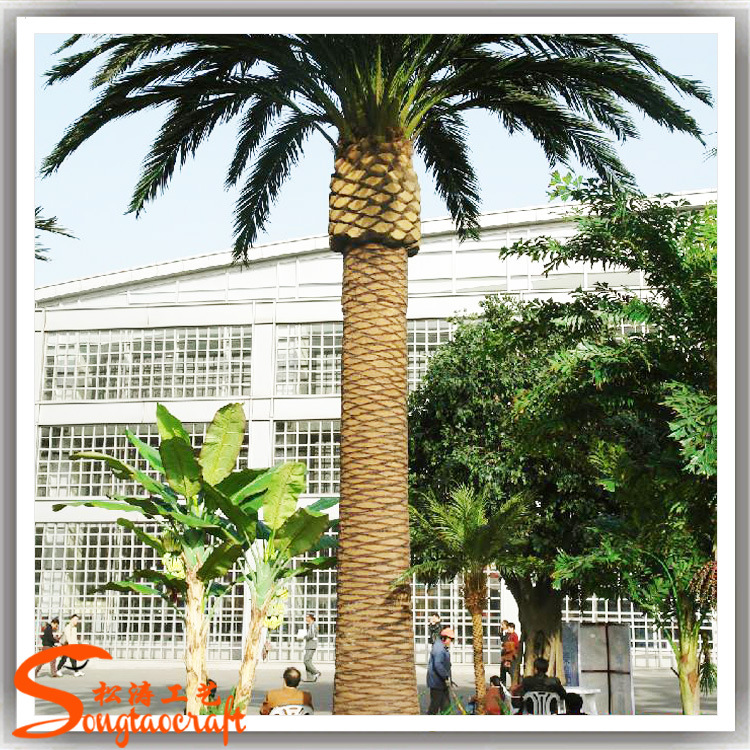 廠家熱銷仿真海藻樹 綠色環(huán)保棕櫚樹 玻璃鋼假海藻樹