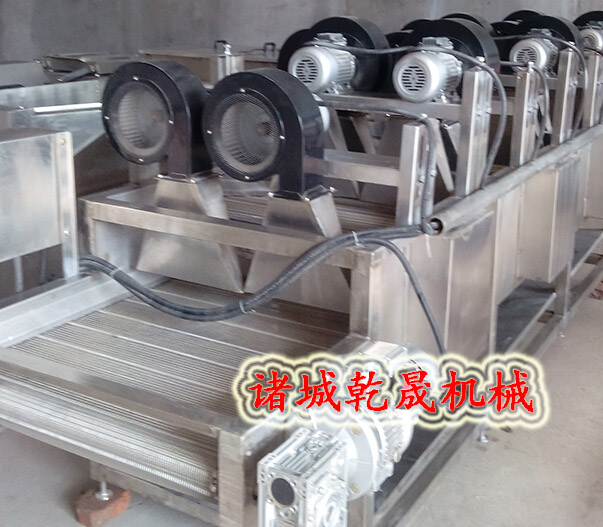 供應諸城強流風干線供應商，軟包裝商用蔬菜清洗機價格，大型全自動*節(jié)能風干線廠家