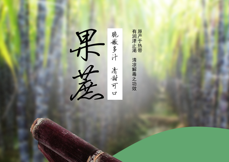 供應(yīng)用于甘蔗的廣西甘蔗收購價(jià) 專業(yè)種植黑皮甜甘蔗