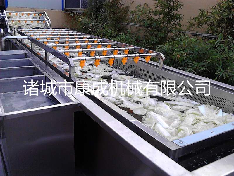 供應(yīng)果蔬清洗機(jī)氣泡清洗機(jī)油桃清洗機(jī)