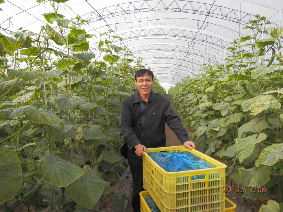 溫室大棚設(shè)計(jì)圖紙，六年才更換一次棚膜、造價(jià)低、抗風(fēng)強(qiáng)、跨度大，保溫好，適合種植蔬菜、瓜果、蘑菇