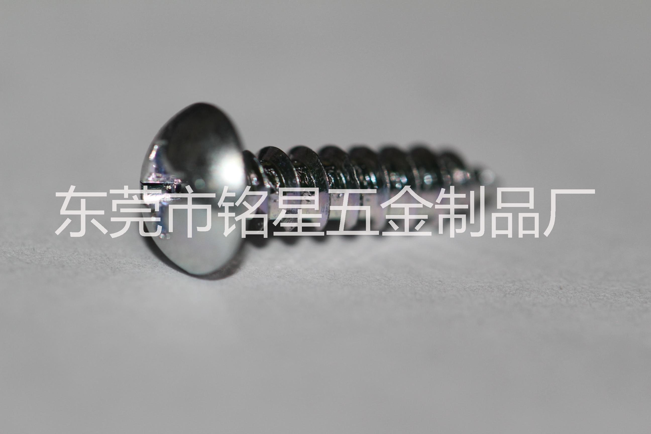 供應(yīng)緊固件，電子螺絲，精密螺絲